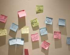 IMG 9155